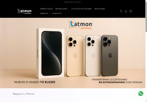 tatmon.com capture - 2025-05-16 16:06:11