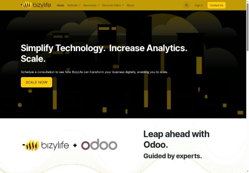 bizylife.com capture - 2025-05-16 19:07:42