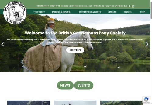 britishconnemaras.co.uk capture - 2025-05-16 22:00:31