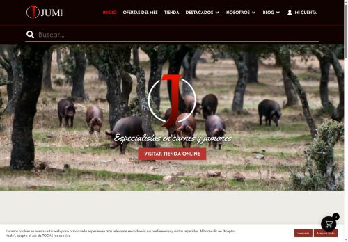 jamonesjumi.com capture - 2025-05-16 22:48:07
