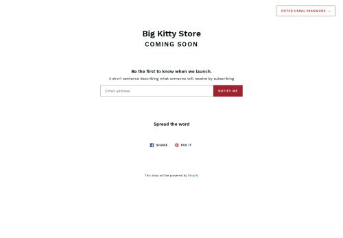 bigkittystore.com capture - 2025-05-17 05:16:00