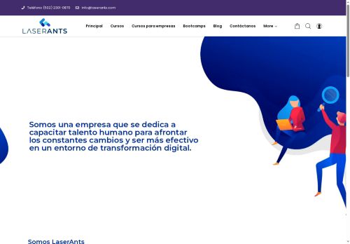 laserants.com capture - 2025-05-17 05:21:01