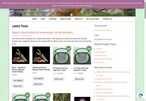 mantidkingdom.com capture - 2025-05-17 14:50:37