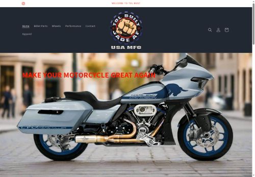 toldesignsnv.com capture - 2025-05-17 17:18:23