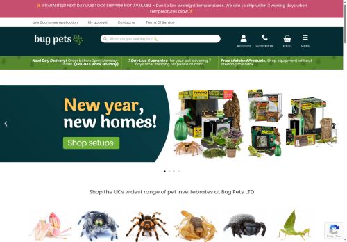 Bug Pets capture - 2025-05-18 02:09:05