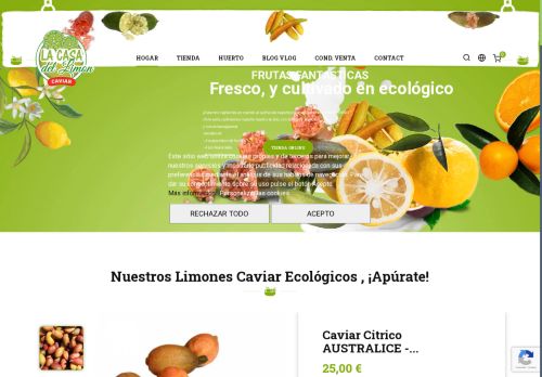 lacasadelimon.com capture - 2025-05-18 06:51:07
