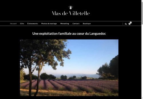 mas-de-villetelle.com capture - 2025-05-18 16:45:28