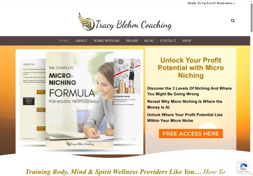 tracyblehm.com capture - 2025-05-18 17:45:50