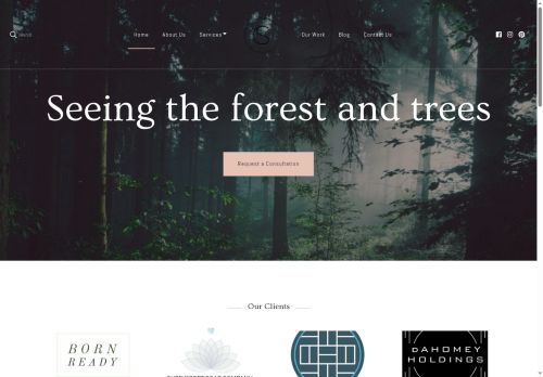 spectator-collective.com capture - 2025-05-19 05:14:58