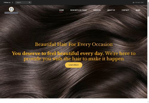 everydaybeautifulwigs.com capture - 2025-05-19 05:30:44