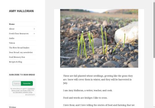 amyhalloran.net capture - 2025-05-19 09:09:22