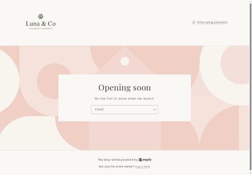 Luna & Co. Boutique capture - 2025-05-19 09:20:22