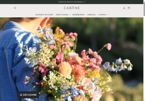 fromcabane.com capture - 2025-05-19 12:13:20