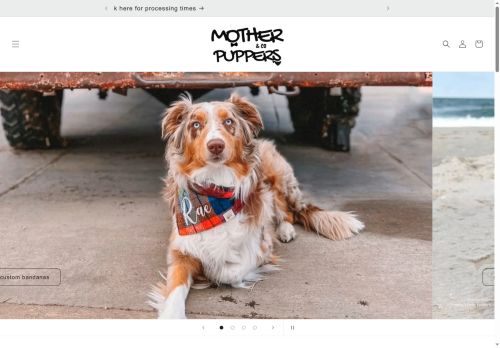 hannahchloeco.com capture - 2025-05-19 14:28:30