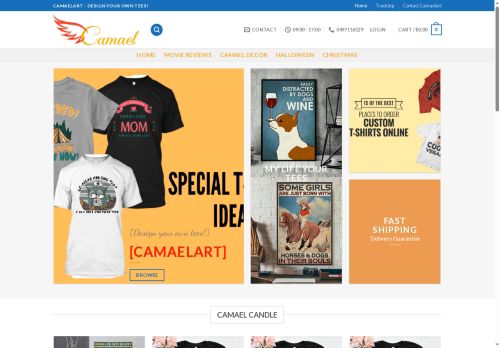 camaelart.com capture - 2025-05-19 15:21:48