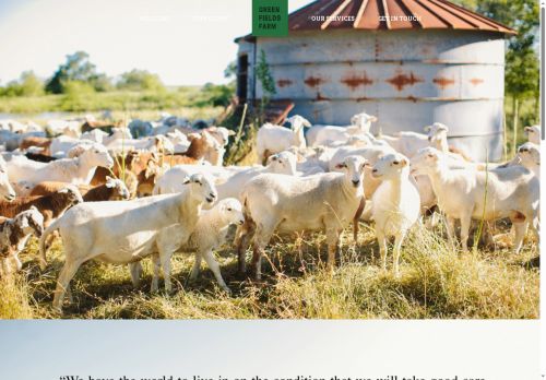 gfftexas.com capture - 2025-05-19 15:39:55