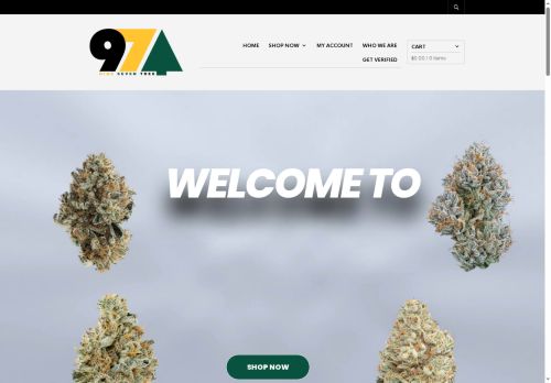 97tree.com capture - 2025-05-19 16:59:08