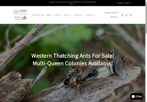 Canada Ant Colony capture - 2025-05-19 18:05:26
