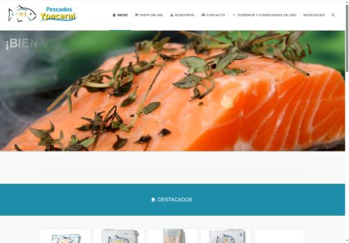 ypacaraisrl.com capture - 2025-05-19 18:32:59