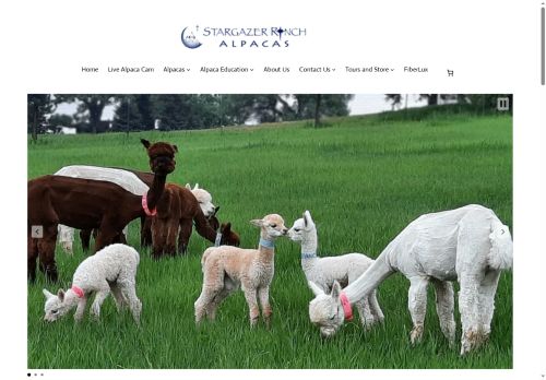 alpaca.net capture - 2025-05-19 23:05:21