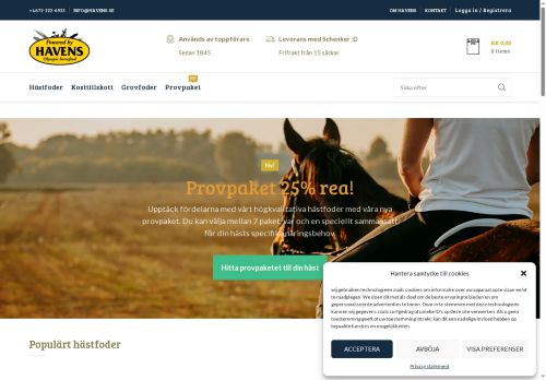 billsviken.se capture - 2025-05-20 01:35:36