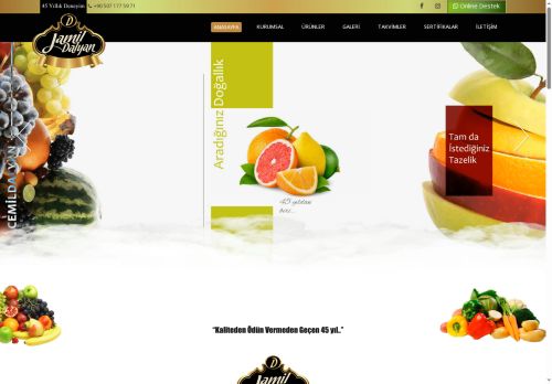 cemildalyan.com capture - 2025-05-20 11:48:45