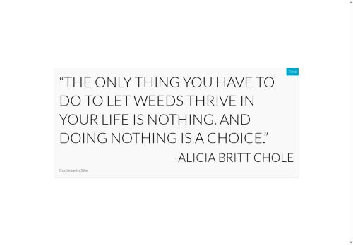 aliciachole.com capture - 2025-05-20 11:48:45