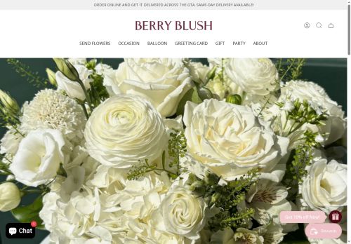 berryblush.com capture - 2025-05-20 14:30:02