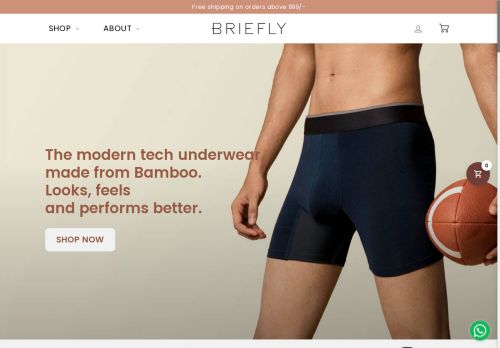 wearbriefly.com capture - 2025-05-20 17:35:21