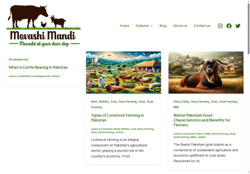 movashimandi.com capture - 2025-05-20 18:37:11