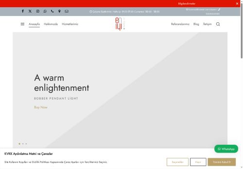 eniyi.website capture - 2025-05-21 00:48:17