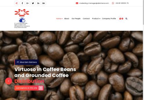 alximtera.com capture - 2025-05-21 01:38:29