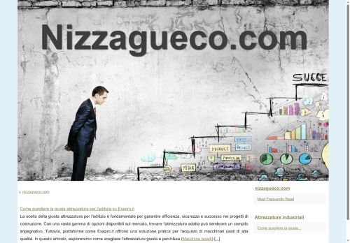nizzagueco.com capture - 2025-05-21 02:08:43