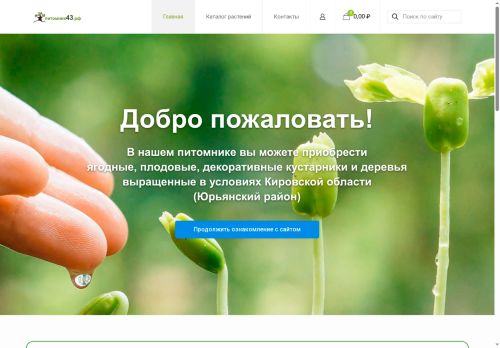 xn--43-vlcakkhgh5a.xn--p1ai capture - 2025-05-21 02:22:16