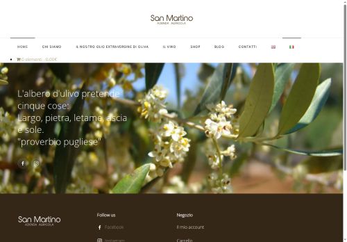 aziendasanmartino.com capture - 2025-05-21 05:28:15