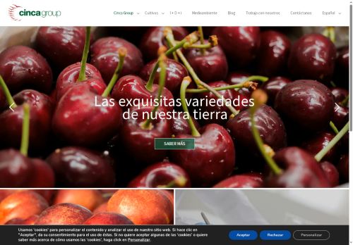 cincagroup.com capture - 2025-05-21 07:15:12