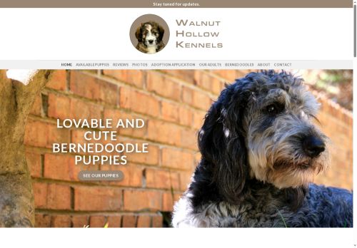 walnuthollowkennels.com capture - 2025-05-21 07:38:26