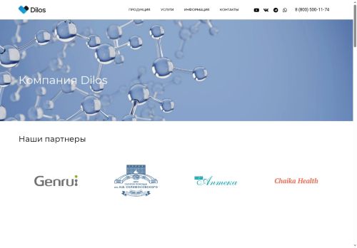 dilos.su capture - 2025-05-21 20:15:18