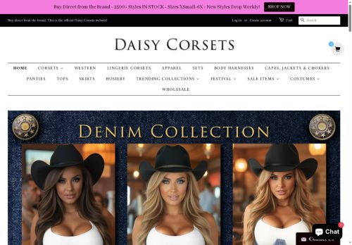 Daisy Corsets USA capture - 2025-05-21 20:27:51