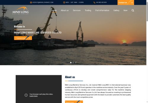 minhlongmsc.com capture - 2025-05-21 22:10:15