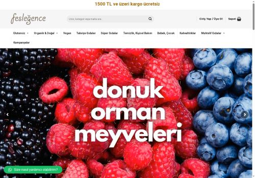 feslegence.com capture - 2025-05-22 00:11:29