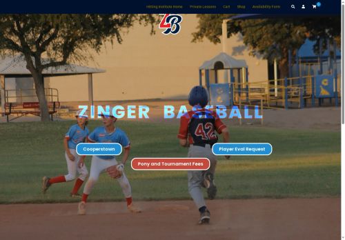 hittinginstitute.com capture - 2025-05-22 00:53:12