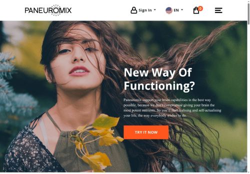 paneuromix.com capture - 2025-05-22 01:43:17