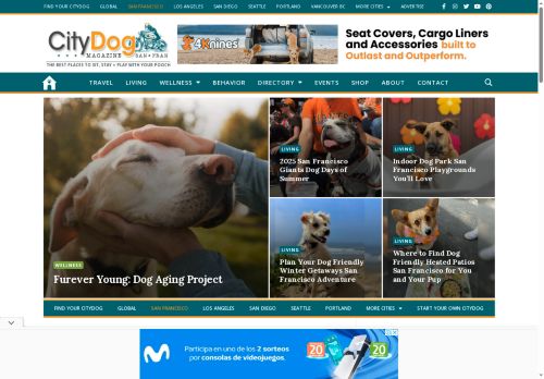 citydogsanfrancisco.com capture - 2025-05-22 07:26:28