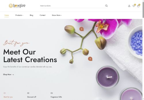 boxglee.com capture - 2025-05-22 08:57:37