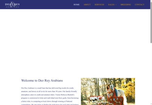 dezrey.com capture - 2025-05-22 09:29:12