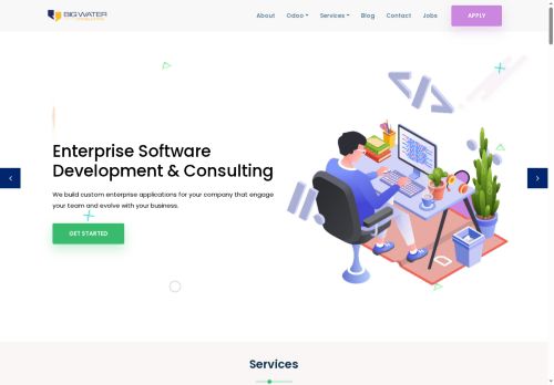 bigwater.consulting capture - 2025-05-22 12:59:18