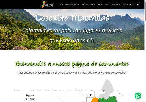 fundacionsalsipuedes.org capture - 2025-05-22 19:35:38