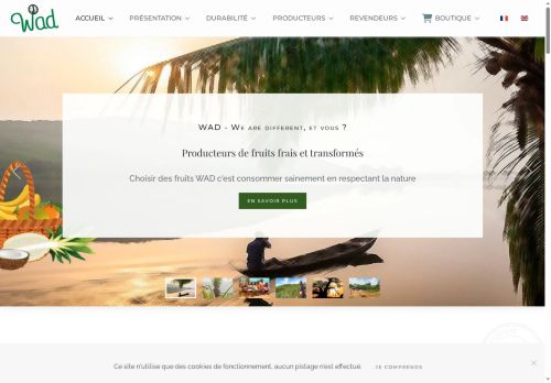 wadco.ch capture - 2025-05-22 20:33:30