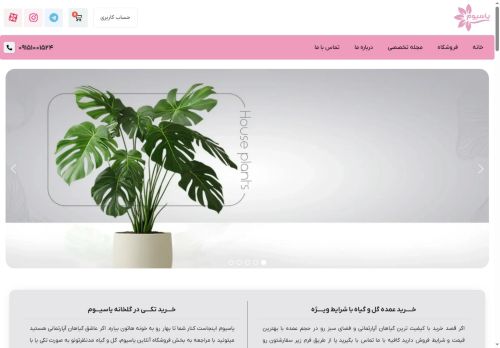 yasium.com capture - 2025-05-23 02:26:20